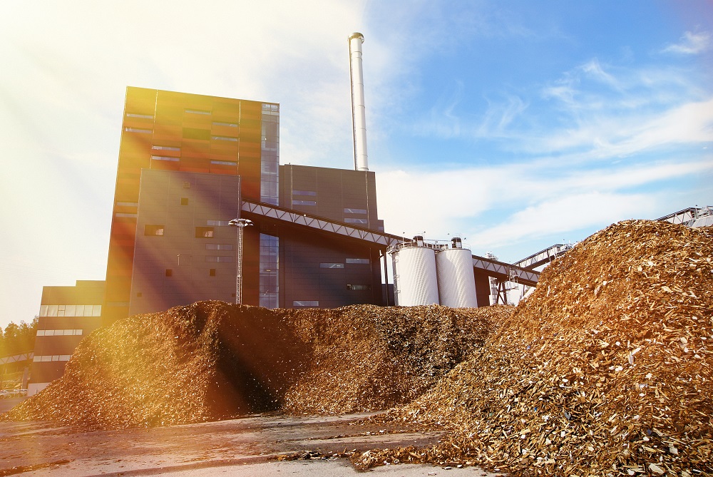 Suszarnia do biomasy